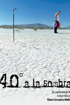 40° a la sombra 2008