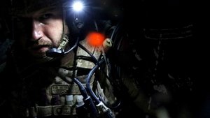 Zero Dark Thirty