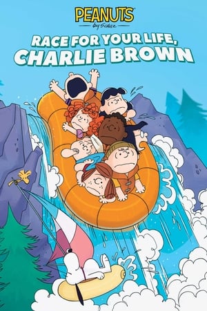 Télécharger C'est ta course, Charlie Brown ! ou regarder en streaming Torrent magnet 