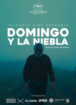 Poster Domingo y la niebla 2022