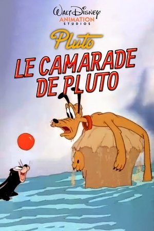 Télécharger Le Camarade de Pluto ou regarder en streaming Torrent magnet 