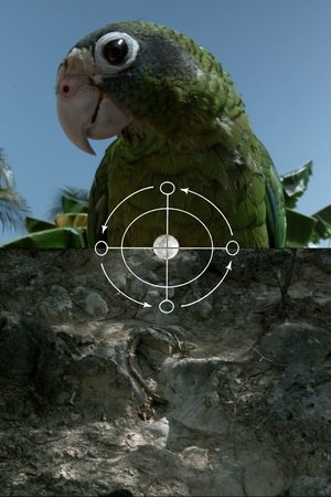 The Sea is History (2016)
