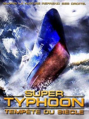 Télécharger Super Typhoon : Tempête du siècle ou regarder en streaming Torrent magnet 