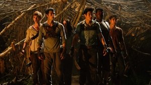 Images posters