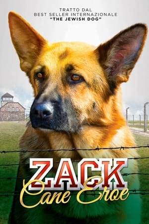 Image Zack, cane eroe