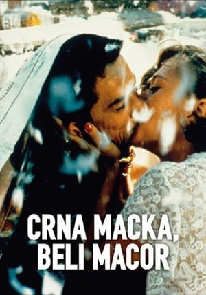 Crna mačka, beli mačor 1998