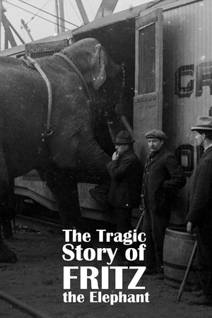 La Tragique Histoire de Fritz l'éléphant (2024)