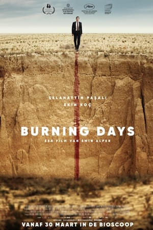 Image Burning Days