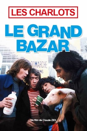 Télécharger Le Grand Bazar ou regarder en streaming Torrent magnet 