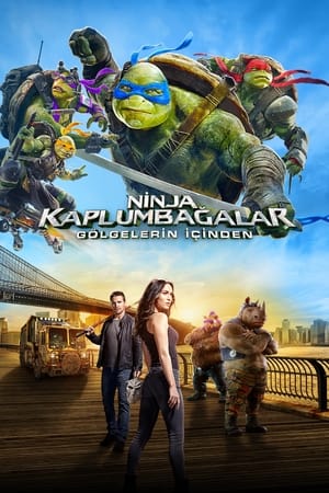 Poster Ninja Kaplumbağalar: Gölgelerin İçinden 2016