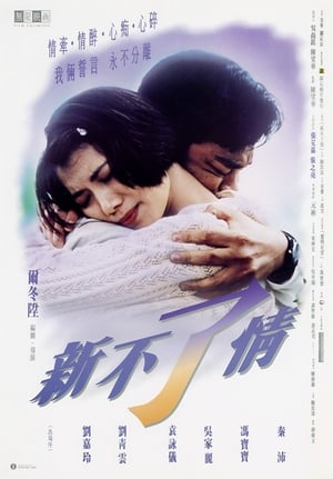 新不了情 1993