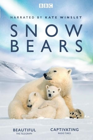 Poster Snow Bears, vita da orsi 2017