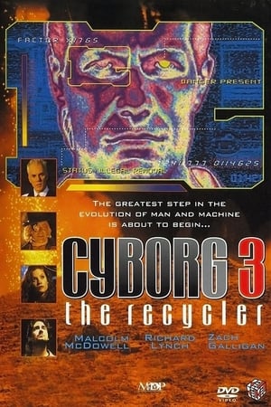 Poster Cyborg 3 1995