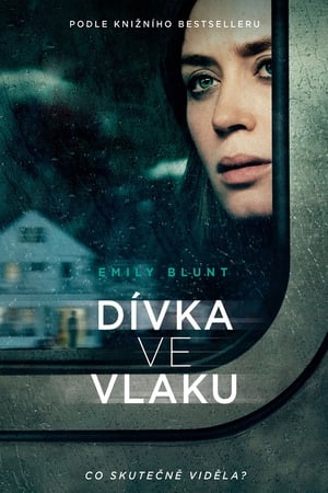 Image Dívka ve vlaku