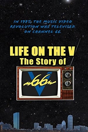 Poster Life on the V: The Story of V66 2014