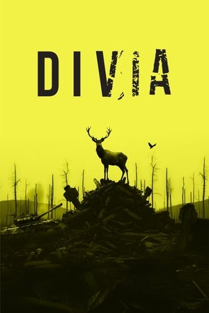 Divia (2025)