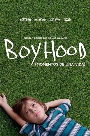 Poster Boyhood (Momentos de una vida) 2014
