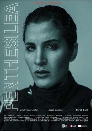 Poster Penthesilea 2018