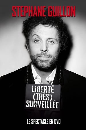 Image Stéphane Guillon - Liberté très surveillée