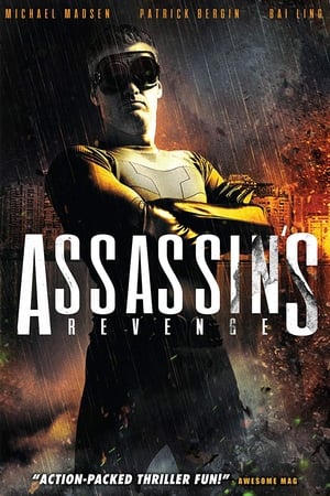 Poster Assassins Revenge 2018
