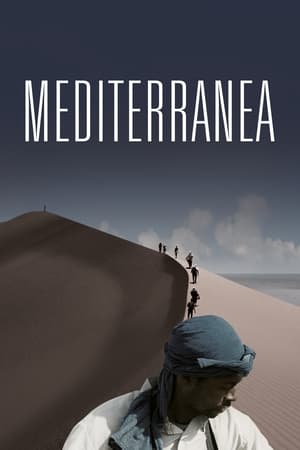 Poster Mediterranea 2015