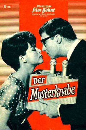 Image Der Musterknabe