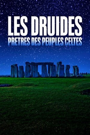Les Druides : Prêtres des peuples celtes 2021