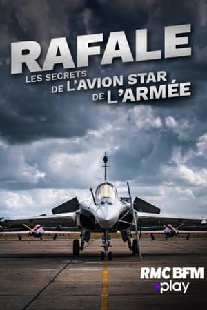 Rafale : les secrets de l'avion star de l'armée 2024