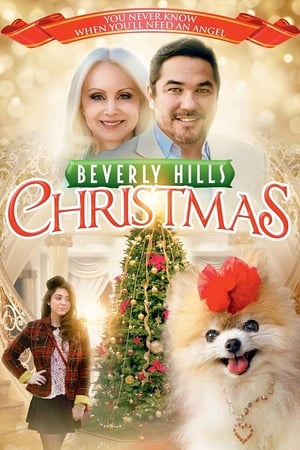 Poster Beverly Hills Christmas 2015