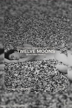 Twelve Moons (2025)