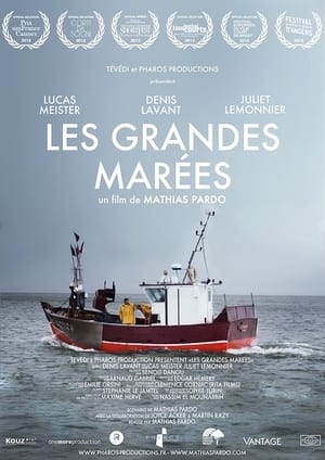 Poster Les Grandes Marées 2013