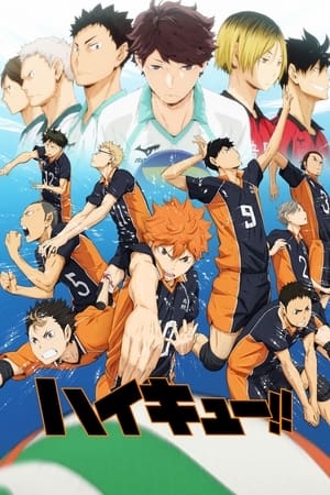 Poster Haikyu!! 2014