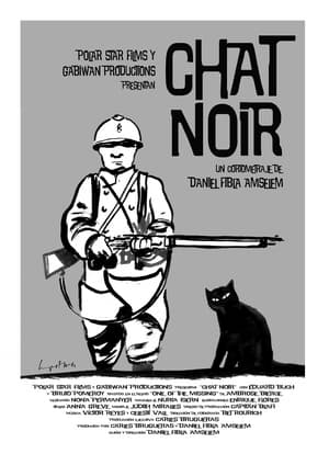 Image Chat noir