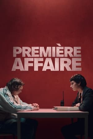 Image Première affaire