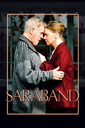 Poster Saraband 2003