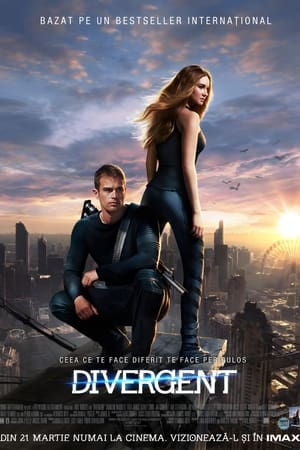 Poster Divergent 2014