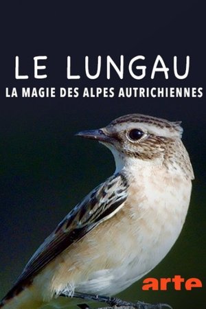 Le Lungau – La magie des Alpes autrichiennes 2018