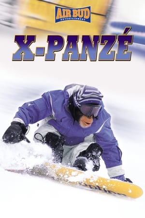 Image X-Panzé