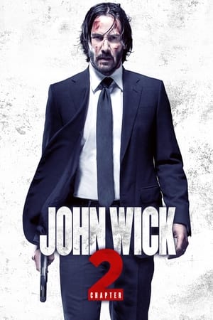Poster John Wick: Bölüm 2 2017