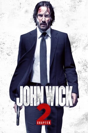 Image John Wick: Bölüm 2