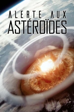 Image Alerte aux astéroïdes