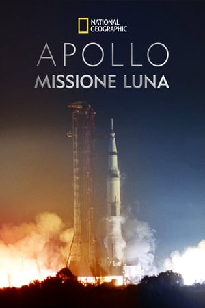 Image Apollo - Missione Luna