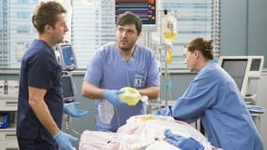 Grey's Anatomy Season 18 :Episode 20  You Are the Blood