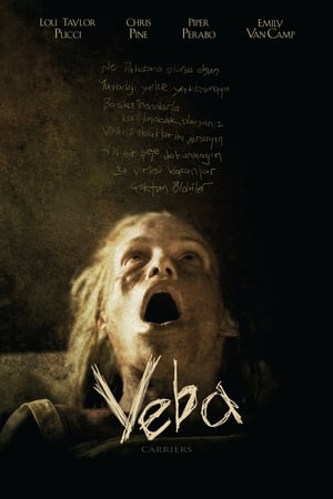 Poster Veba 2009