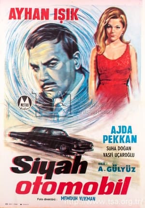 Poster Siyah Otomobil 1966