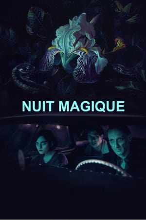 Image Nuit magique