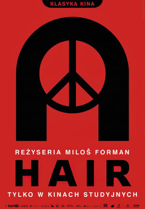 Poster Hair 1979