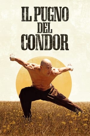 Image Il pugno del condor