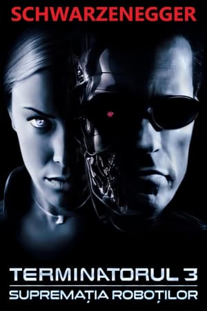 Poster Terminatorul 3: Supremația roboților 2003