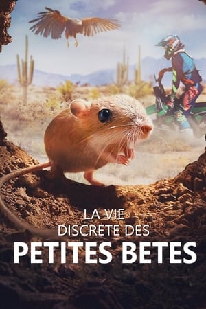 Image La vie discrète des petites bêtes